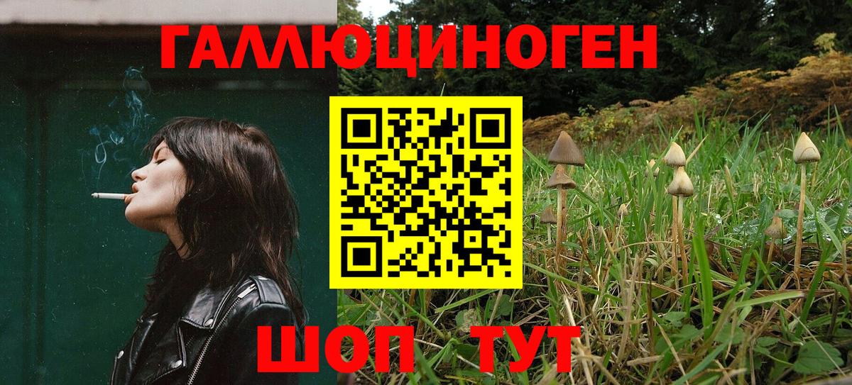 Галлюциногенные грибы GOLDEN TEACHER  как найти закладки  Иваново  Галлюциногенные грибы мухоморы  Вход с VPN 